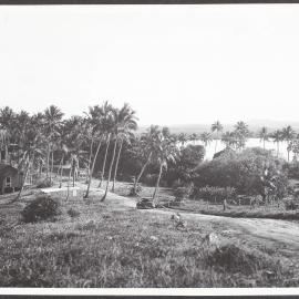 Scene at Eimeo near Mackay, North Queensland