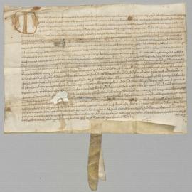 Document [Legal action]