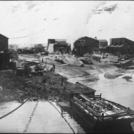 The Plan at Leith Harbour, South Georgia