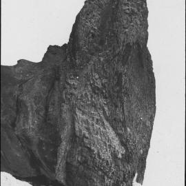 The Pillar, at Cape Barne