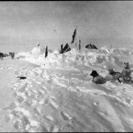 Ice Cap station in summer with dogs