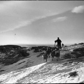 H. G. Watkins sledging over crest of hill