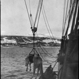 Landing party at Cape Evans