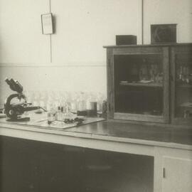 Laboratory at Mildura branch, University of Melbourne, 1947-1949.