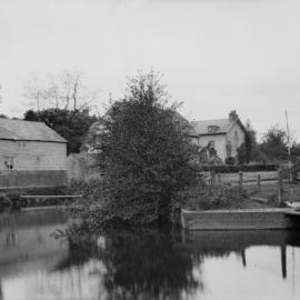 Dorking: Old Mill Pond