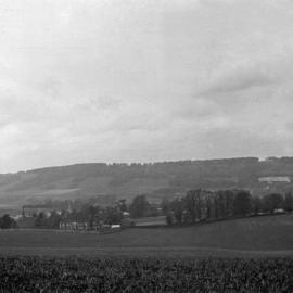 Dorking: Landscape