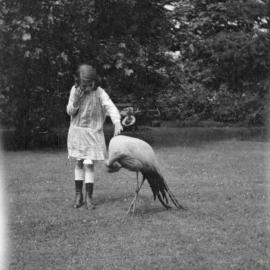 Kew Gardens: Stork
