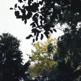 System Garden, University of Melbourne, May 1986.