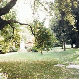 System Garden, University of Melbourne, May 1986.