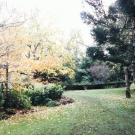 System Garden, University of Melbourne, May 1986.
