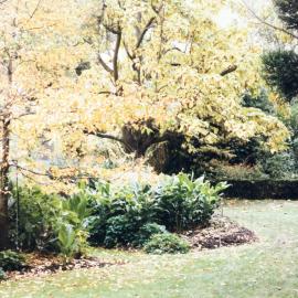 System Garden, University of Melbourne, May 1986.
