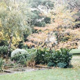 System Garden, University of Melbourne, May 1986.