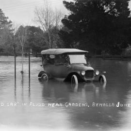 A car in flood waters near the Benalla Botanic Gardens, 7th June 1917.
