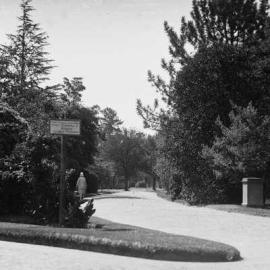 Botanical Gardens, Benalla.