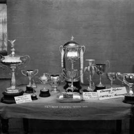 Display of silver or silver plate sporting trophies and a sash.