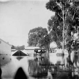 The Benalla Showgrounds in flood on 2nd October 1906.