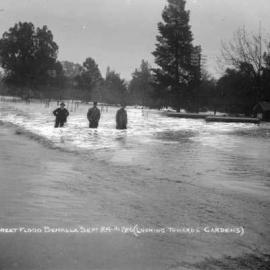 Flooded roadway and  Gardens in Benalla, September 24th 1916.