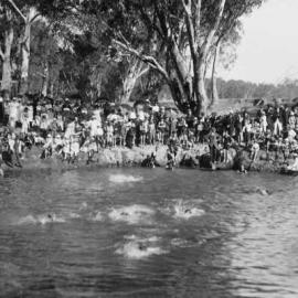 A crowd on the banks of the Broken River watching swimmers.