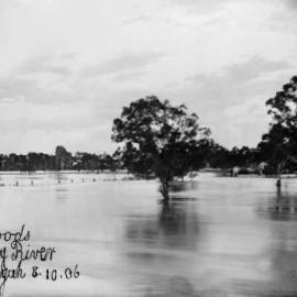 The Murray River in flood at Wahgunyah on 8th October 1906.