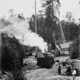 Timber milling operation in an unidentified location, possibly in North-eastern Victoria.