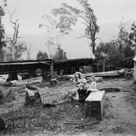 A steam powered sawmill in an unknown forest location.