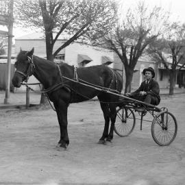 A trotting horse and sulky with driver, possibly in central Benalla.