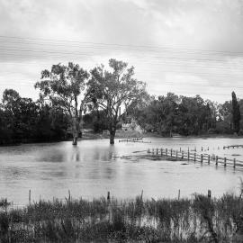 A flooded rural landscape, possibly near Benalla.
