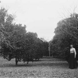 A woman standing in a home orchard amongst fruit trees.