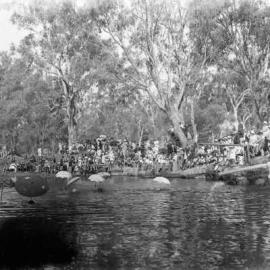 A novelty swimming event near Benalla.