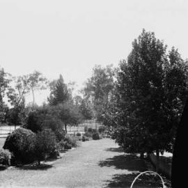 A section of the Botanical Gardens in Benalla.