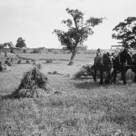 A rural scene including a farmer harvesting with a team of horses.
