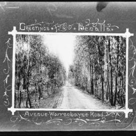 Greeting card showing an avenue of trees in Warrenbayne Road,  Benalla.