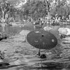 A swimming event in the Broken River.