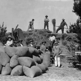 Men cutting and bagging wheat or chaff using a Hornsby engine.