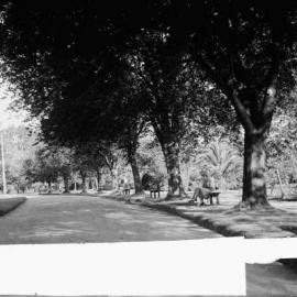 A view of part of the Benalla Botanical Gardens.