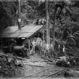Timber harvesting in an unidentified temperate rainforest.