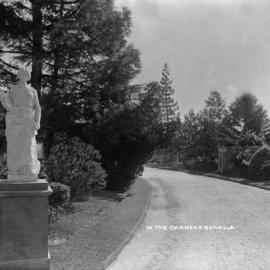 A view of part of the Benalla Botanical Gardens.