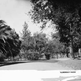 Scene in the Benalla Botanical Gardens.