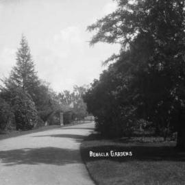 A view of part of the Benalla Botanical Gardens.
