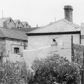 Houses in Hanover Street, Fitzroy, Melbourne.