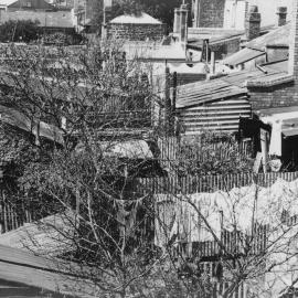 Houses in Hanover Street, Fitzroy, Melbourne.