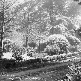 Main Path, Asylum Gardens.