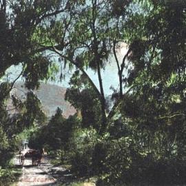 Country scene.
