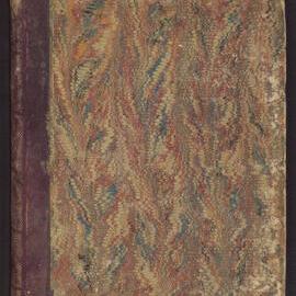 Missionaries Diary Journal: John Ivey, 1867-1870