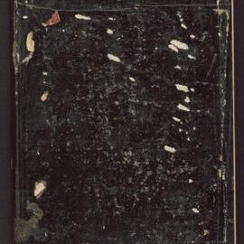 Missionaries Diary Journal District of South Melbourne: William Hall