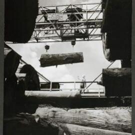 [Heron's Creek Timber Mills] Hoist and Log Storage Yard