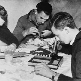 Preparing and examining specimens.