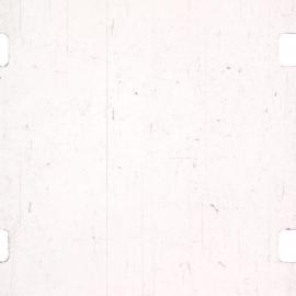 University Grounds from Old Royal Melbourne Hospital Building and Interiors of Hospital