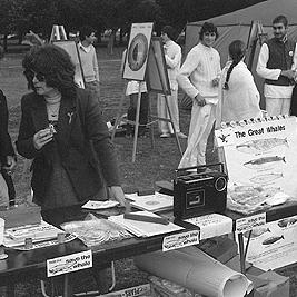 Whales stand at the Alternative Energy Fair.