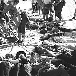 Women's 'web of life' at the Roxby Downs uranium mine protest, August 1983.